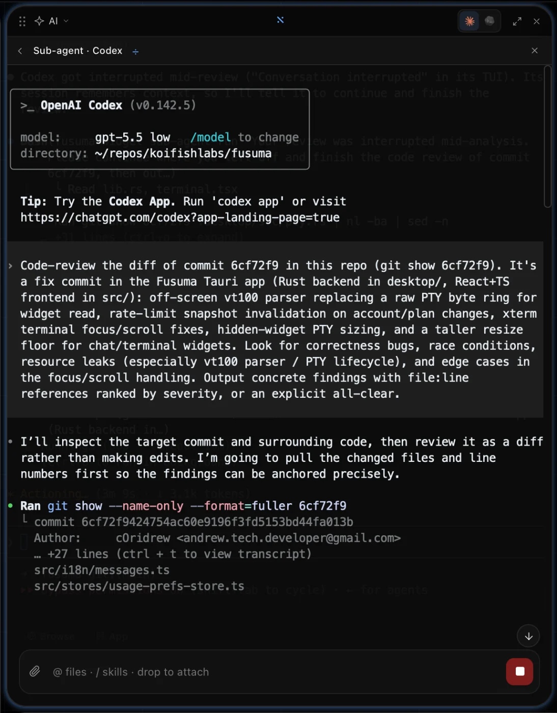 The Codex sub-agent panel showing the fully specified review prompt it received